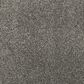 Mohawk Luxuriant Life Carpet in Inverness, , large