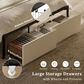 HOMLUX Full Upholstered Platform Storage Bed Frame with Storage Headboard in Beige, , large