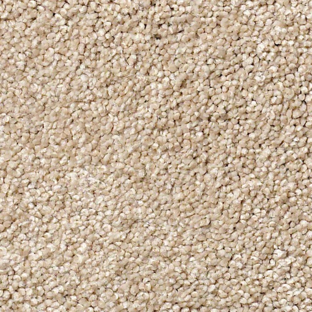 Shaw Find Your Comfort NS I Carpet in Walk on The Beach, , large