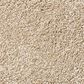Shaw Find Your Comfort NS I Carpet in Walk on The Beach, , large