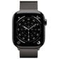 Apple Watch Series 11 (GPS+Cellular) 42mm Titanium Case with Milanese Loop in Slate and 2-Year AppleCare+, , large
