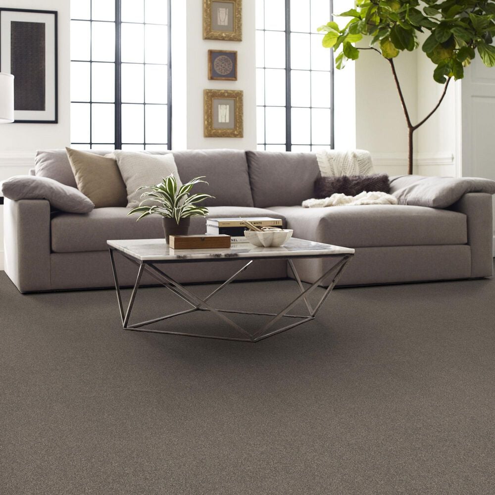 Shaw New Memories T Carpet in Hideaway, , large