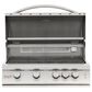 Blaze 32" Marine Grade Natural Gas Grill in Stainless Steel, , large