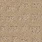 Shaw West Haven Carpet in Magic, , large