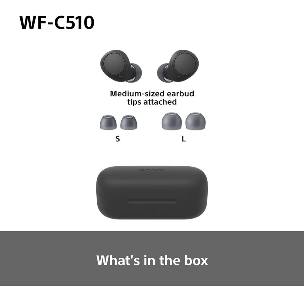 Sony Truly Wireless Earbuds in Black, , large