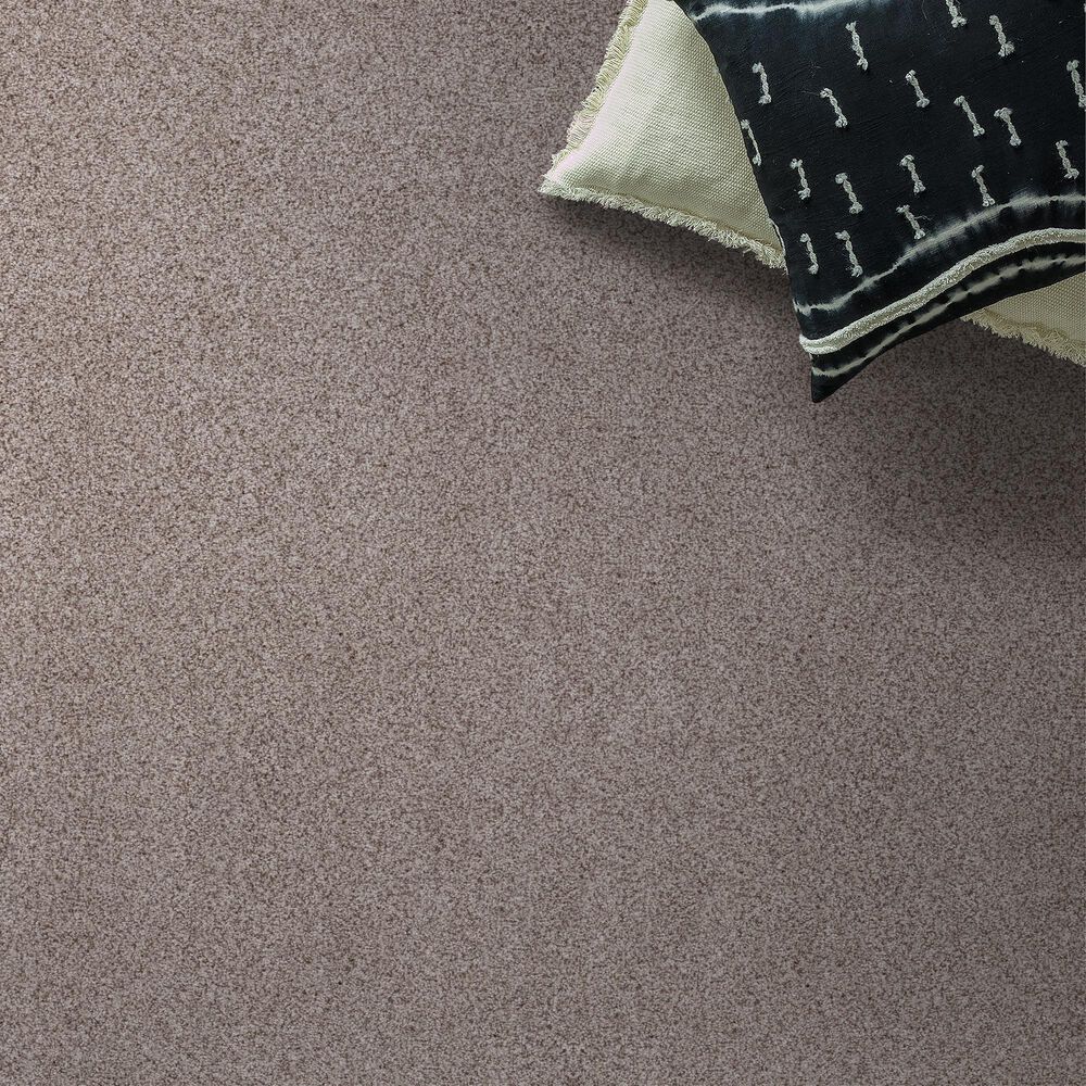 Anderson Tuftex Sumptuous II Carpet in Patio Stone, , large