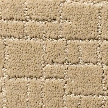 Anderson Tuftex New Tricks Carpet in Monterey, , large