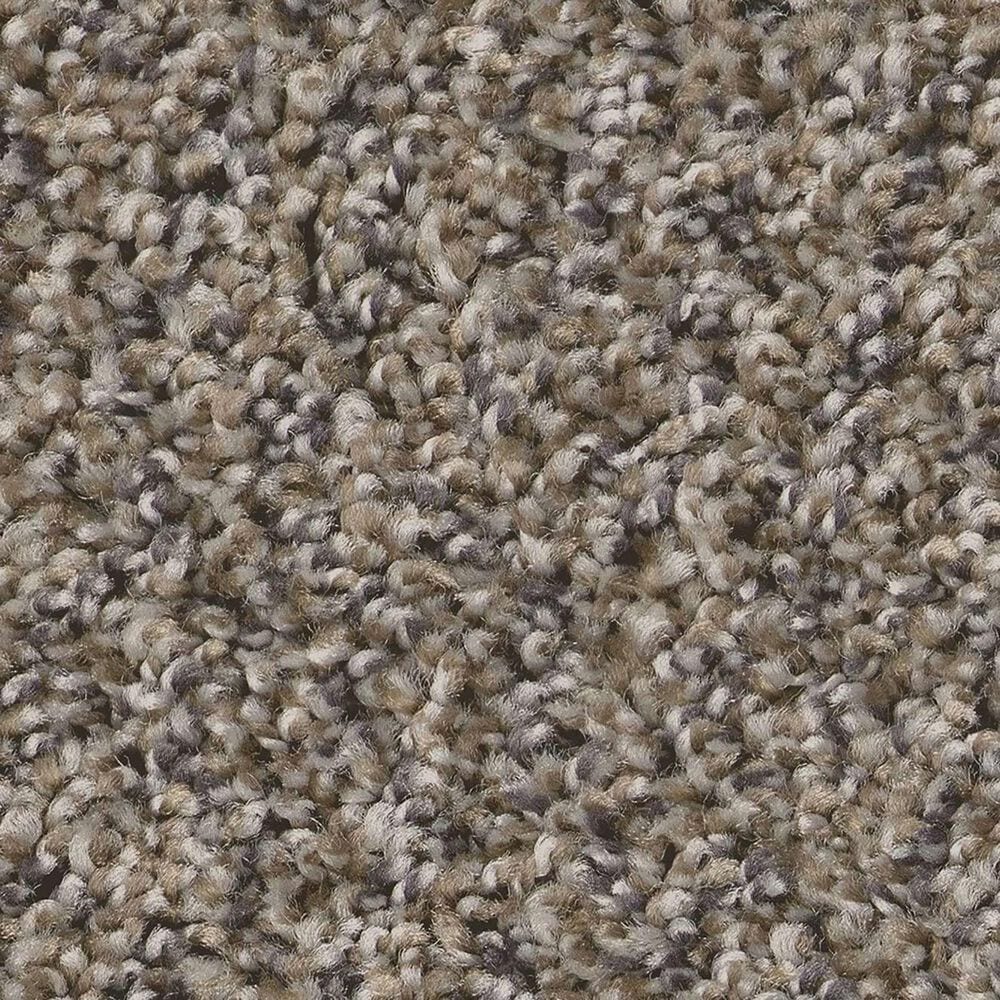 Shaw Always Right II Carpet in Jamestown, , large