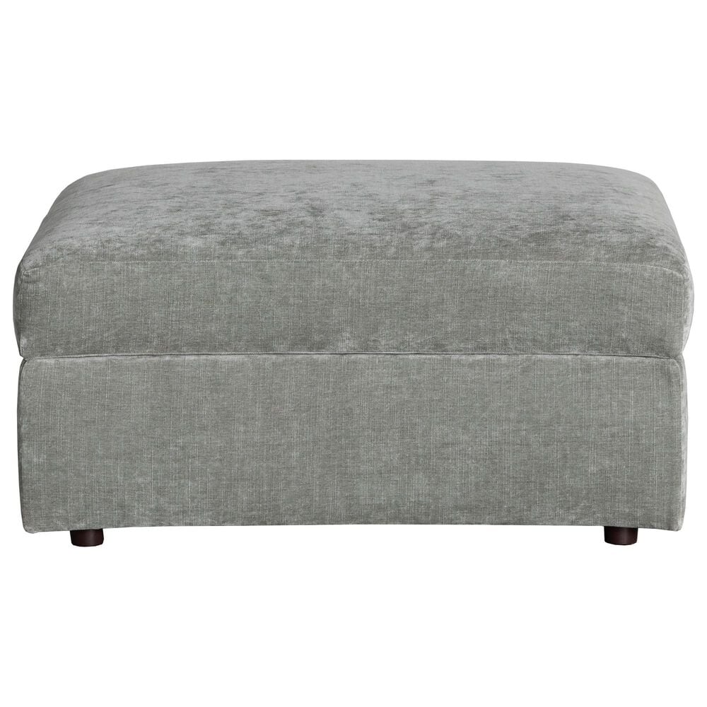 Massoud Furniture Etta Storage Ottoman in Opal Willow, , large