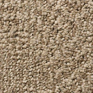 Anderson Tuftex Luna Carpet in Bay Shore, , large