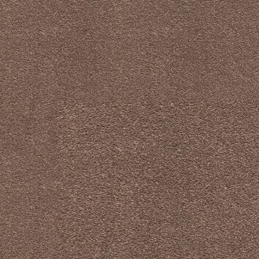 Dixie Home Neverland Carpet in Runyon, , large