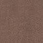 Dixie Home Neverland Carpet in Runyon, , large
