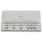 Blaze 40" LTE Natural Gas Grill with 5-Burner in Stainless Steel, , large
