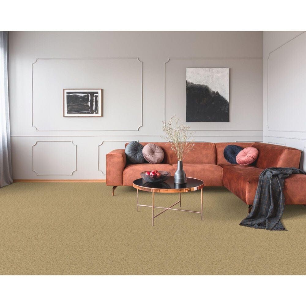 Dixie Home Simplicity Carpet in Pepper Spice, , large