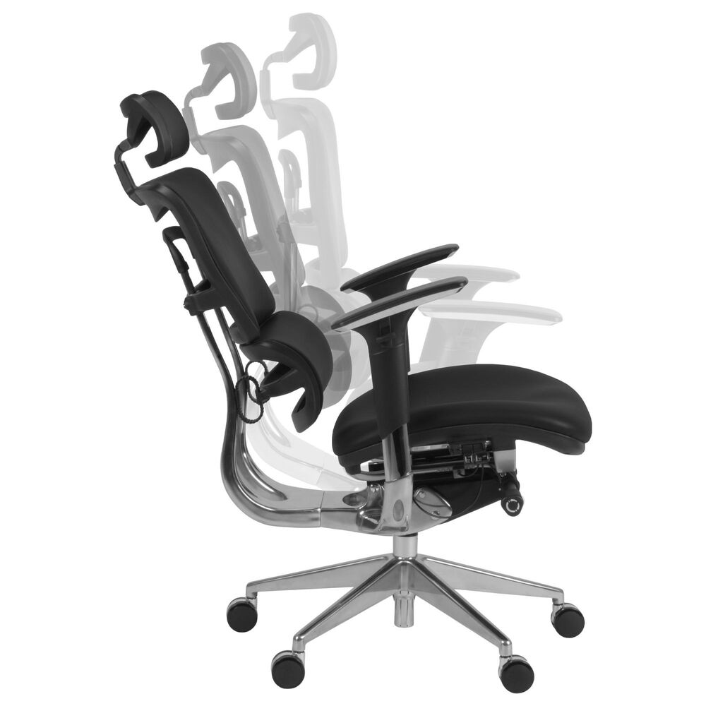 Regency Global Sourcing Omega Ergonomic Executive Office Chair in Black, , large