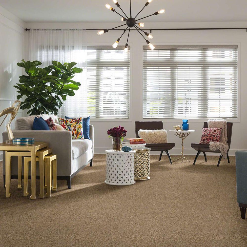 Shaw Acadia Park Carpet in Wicker, , large
