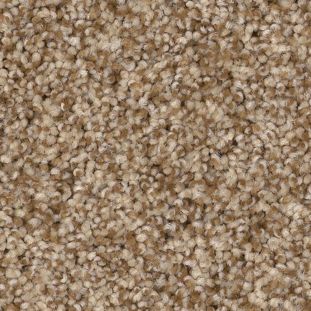 Anderson Tuftex Bossa Nova Carpet in Hazel, , large