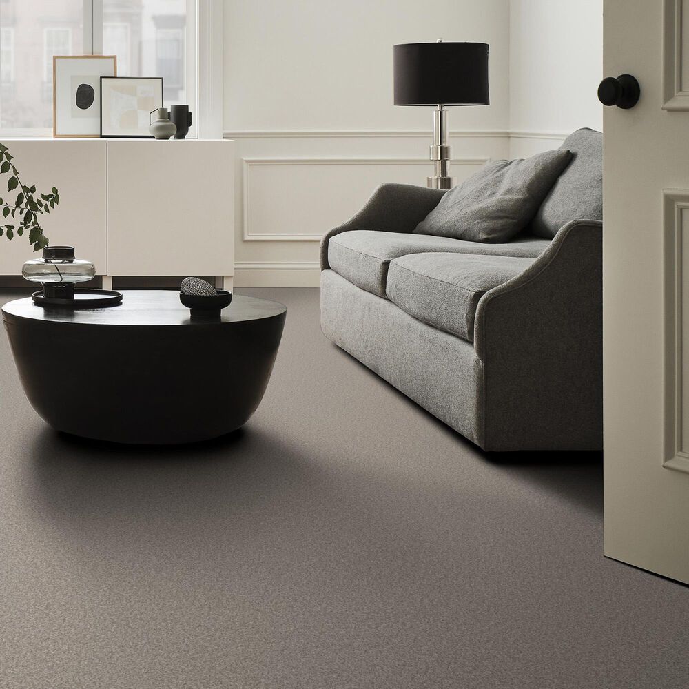 Shaw You Got This II Carpet in Chic Greige, , large