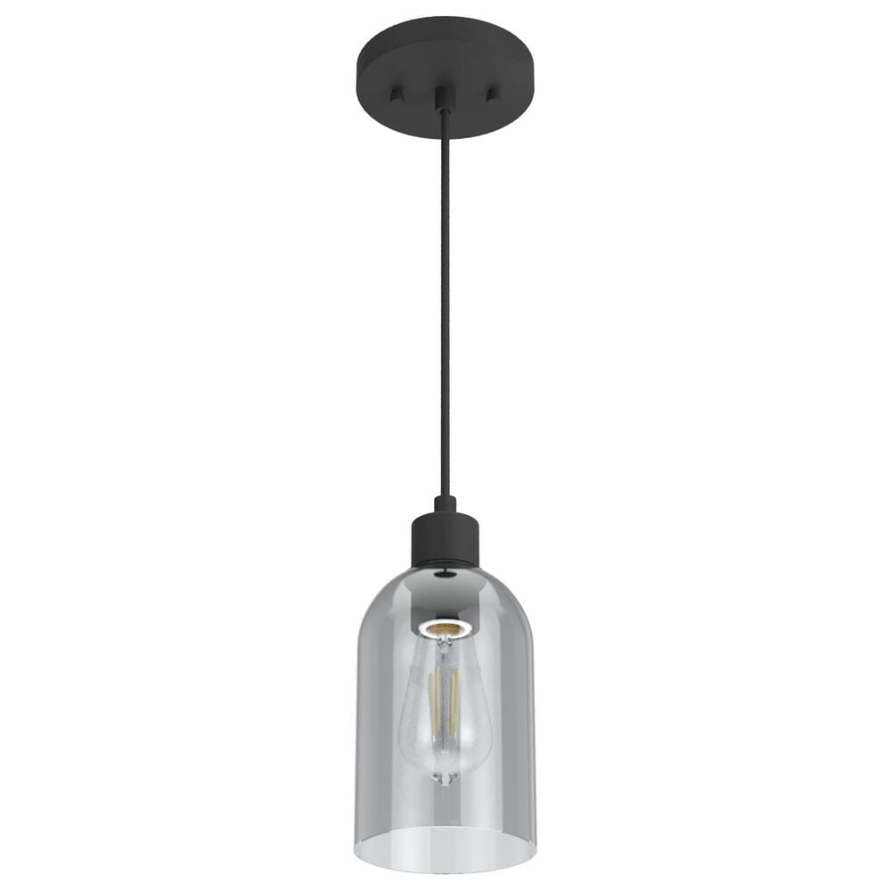 Hunter Lochmeade 1-Light Mini Pendant in Natural Iron, , large