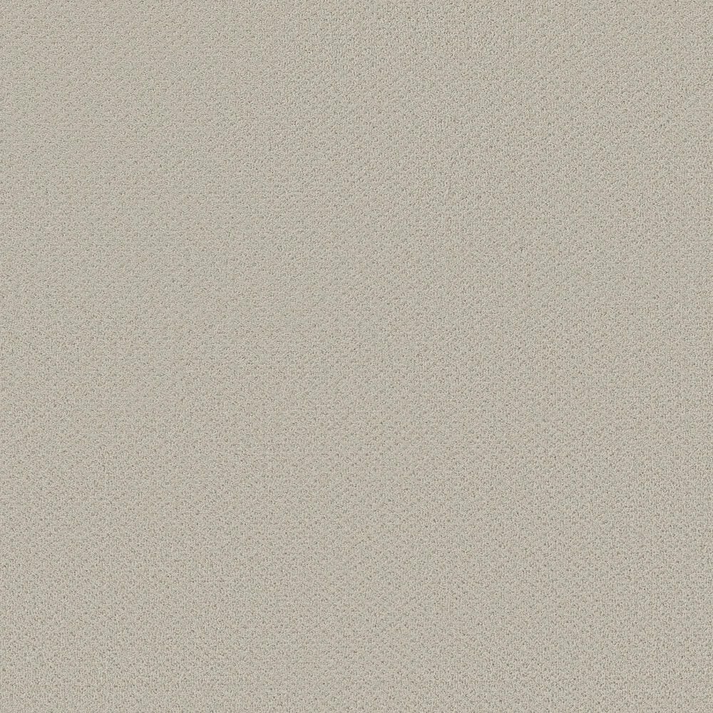 Shaw Austin Park Carpet in Rock Crystal, , large