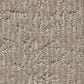 Shaw Clever Blend Carpet in Cameo, , large