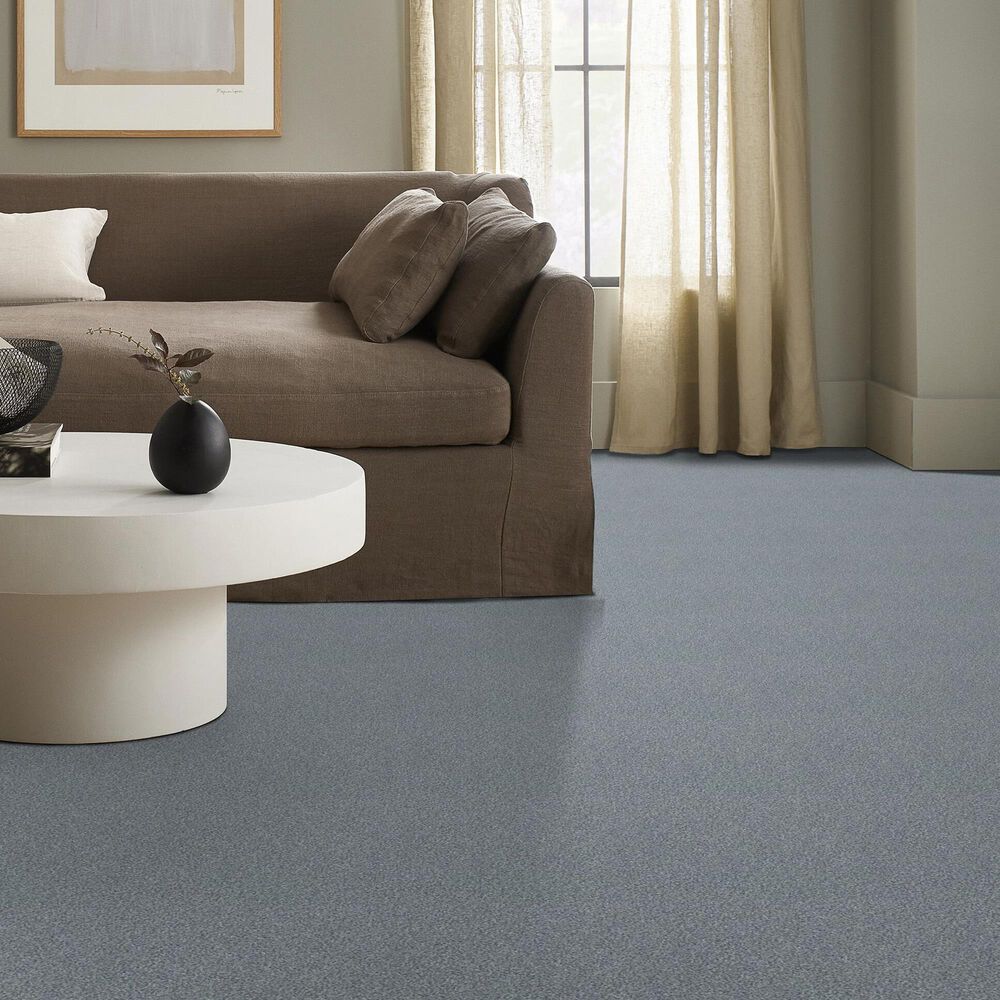 Shaw Tonal Comfort I Carpet in Dolphin Sighting, , large