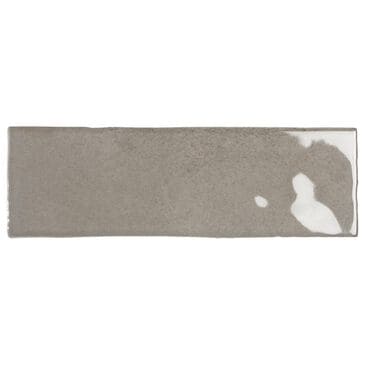 Emser Passion Gris 3" x 8" Glossy Porcelain Tile, , large
