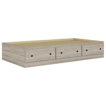 Lemoore Essential Twin Mates Bed in Swedish Grey Elm, , large