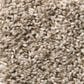 Shaw Break Away Tonal Carpet in Blond Wood, , large