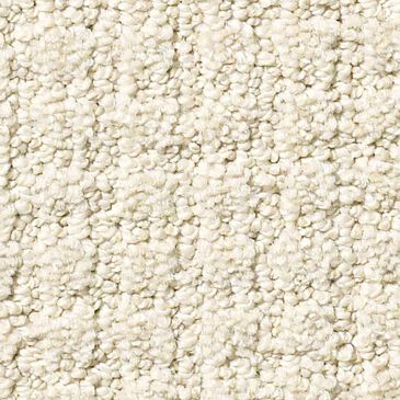 Philadelphia Foundations Aerial Arts Carpet in Canvas, , large
