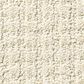 Shaw Foundations Aerial Arts Carpet in Canvas, , large