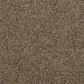 Mohawk Refined Retrievers II Carpet Nightshade, , large
