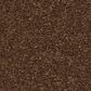 Anderson Tuftex Elegant Beauty Carpet in Bronco, , large