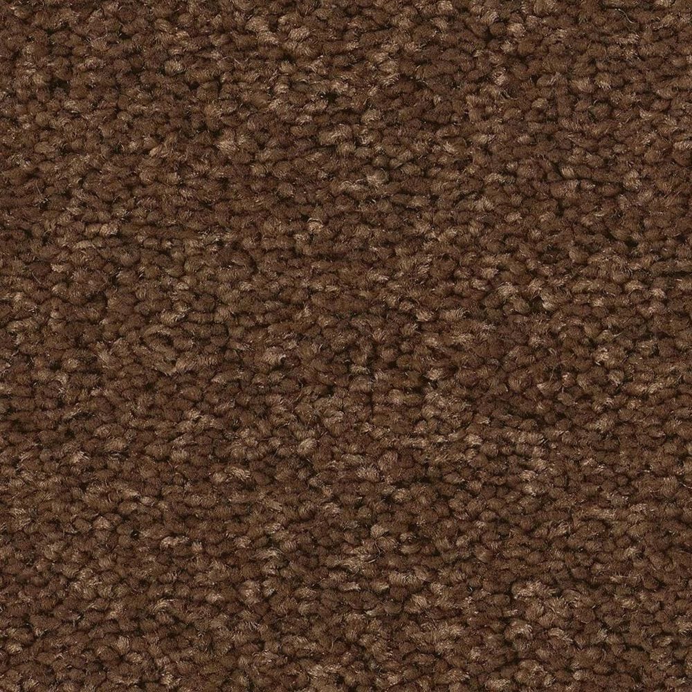 Anderson Tuftex Elegant Beauty Carpet in Bronco, , large