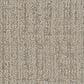 Dixie Home Engaging Carpet in Stone, , large