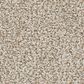 Masland Santo Domingo Carpet in Amazing, , large