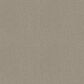Shaw Cathedral Grove Carpet in Cement, , large
