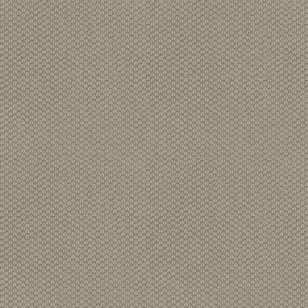 Shaw Cathedral Grove Carpet in Cement, , large