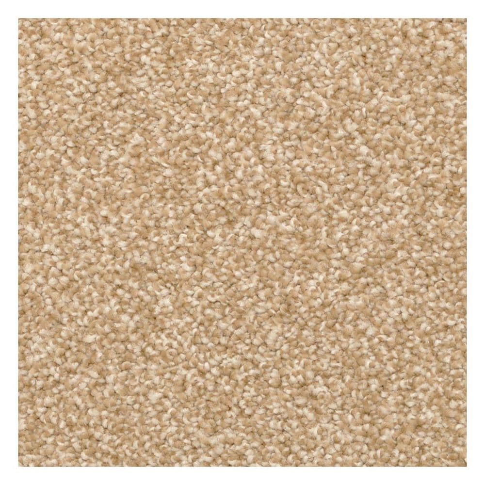 Dixie Home Lavato Carpet in Cameo, , large