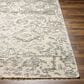 Surya Amina 8" x 10" Beige and Ivory Area Rug, , large