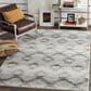 Safavieh Adirondack ADR106P-3 3" x 5" Silver/Charcoal Area Rug, , large