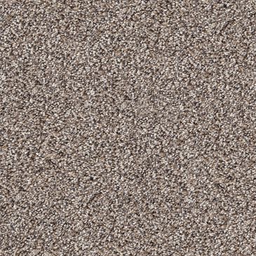 Dixie Home Swiss Alpine Carpet in Puppy, , large