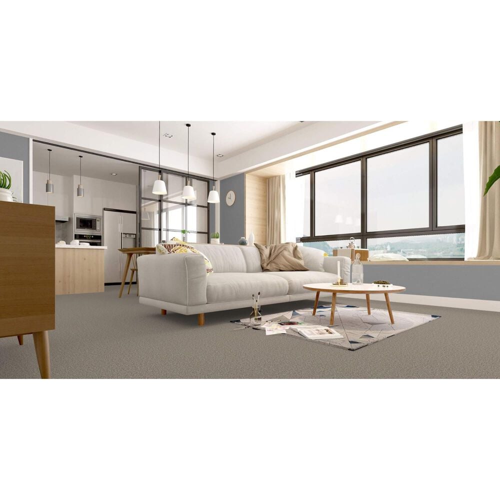 Revolution Mills Rainier Carpet in Tacoma, , large