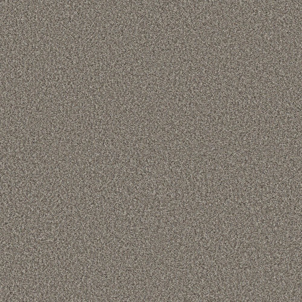 Shaw Bold Move Plus Carpet in Country Pebble, , large