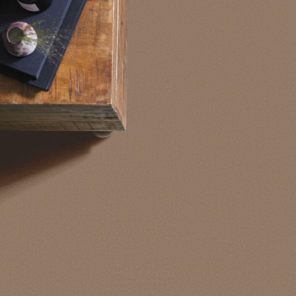 Anderson Tuftex Finery Carpet in Crisp Tan, , large