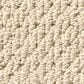 Anderson Tuftex Mera Carpet in Biscuit, , large