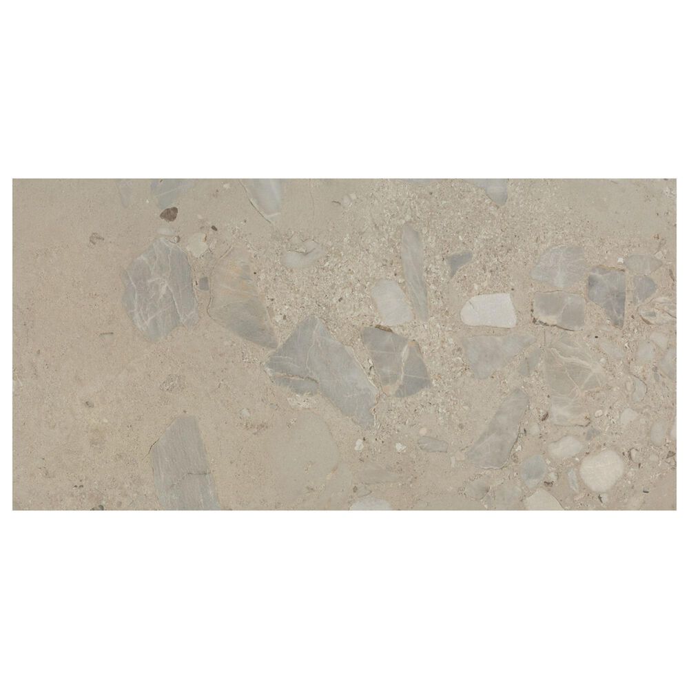 Dal-Tile Sand and Stone Tundra Rectangle Stone 24" x 48" Porcelain Tile, , large
