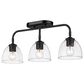 Golden Lighting Roxie 3-Light Semi-Flush in Matte Black, , large