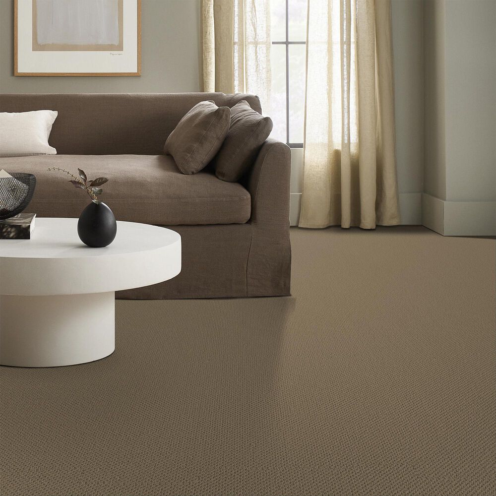 Anderson Tuftex Gracious Carpet in Vintage Brown, , large
