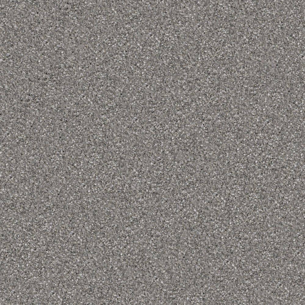 Masland Hawkshaw Carpet in Rin Tin Tin, , large